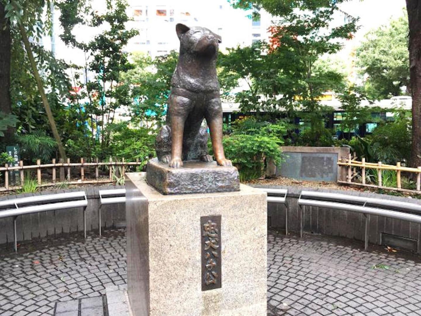 Building A101 / Vacation Stay 1274 Tokyo Bagian luar foto